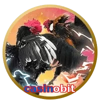 casinobit