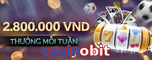 casinobit