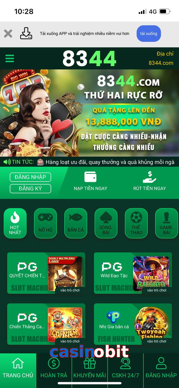 casinobit