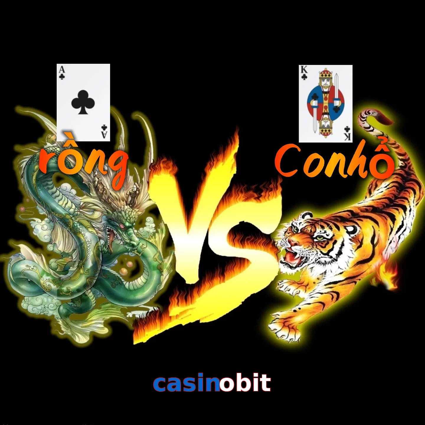 casinobit