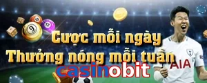 casinobit